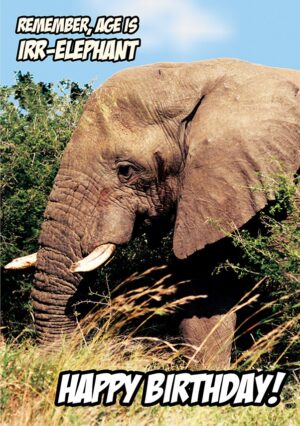 Remember, age is irr-elephant. Happy birthday!