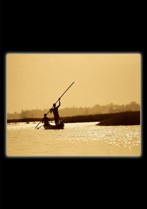 Blank Cards - bl002a