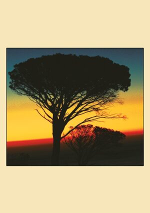 Blank Cards - bl211a