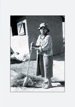 Blank Cards - bl312a