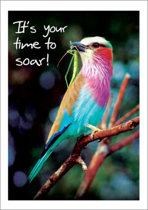Encouragement & Inspiration - ei409a