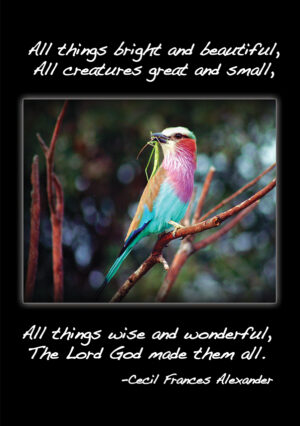 Encouragement & Inspiration - ei409b