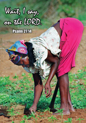 Scripture - sc500b