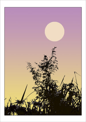 Blank Cards - bl013a
