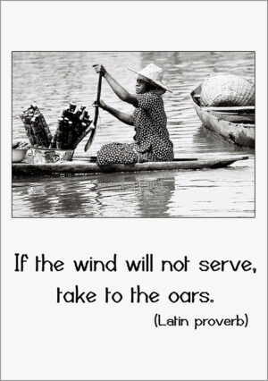 If the wind will not serve, take to the oars. - Latin proverb