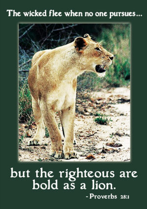 Scripture - sc410a