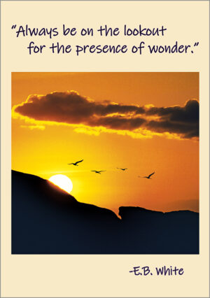 Encouragement & Inspiration - ei406b