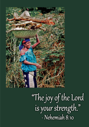 Scripture - sc201d